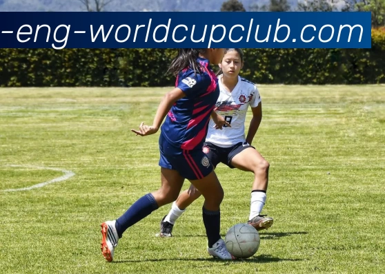 世界杯买球APP 封面图